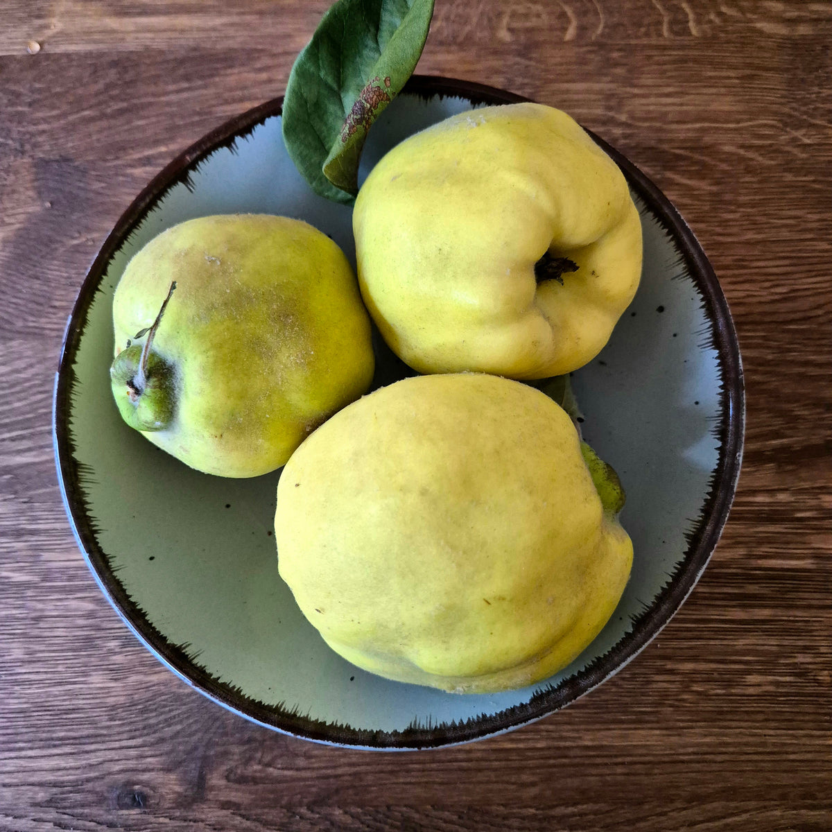 Pigwa wielkoowocowa eko - 1 kg