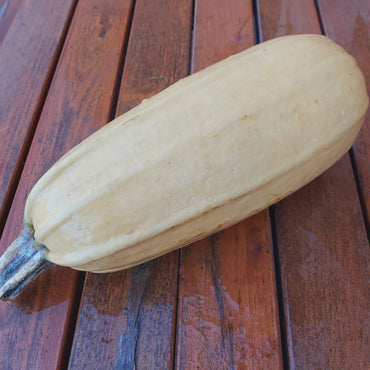 Kabaczek - 1 kg