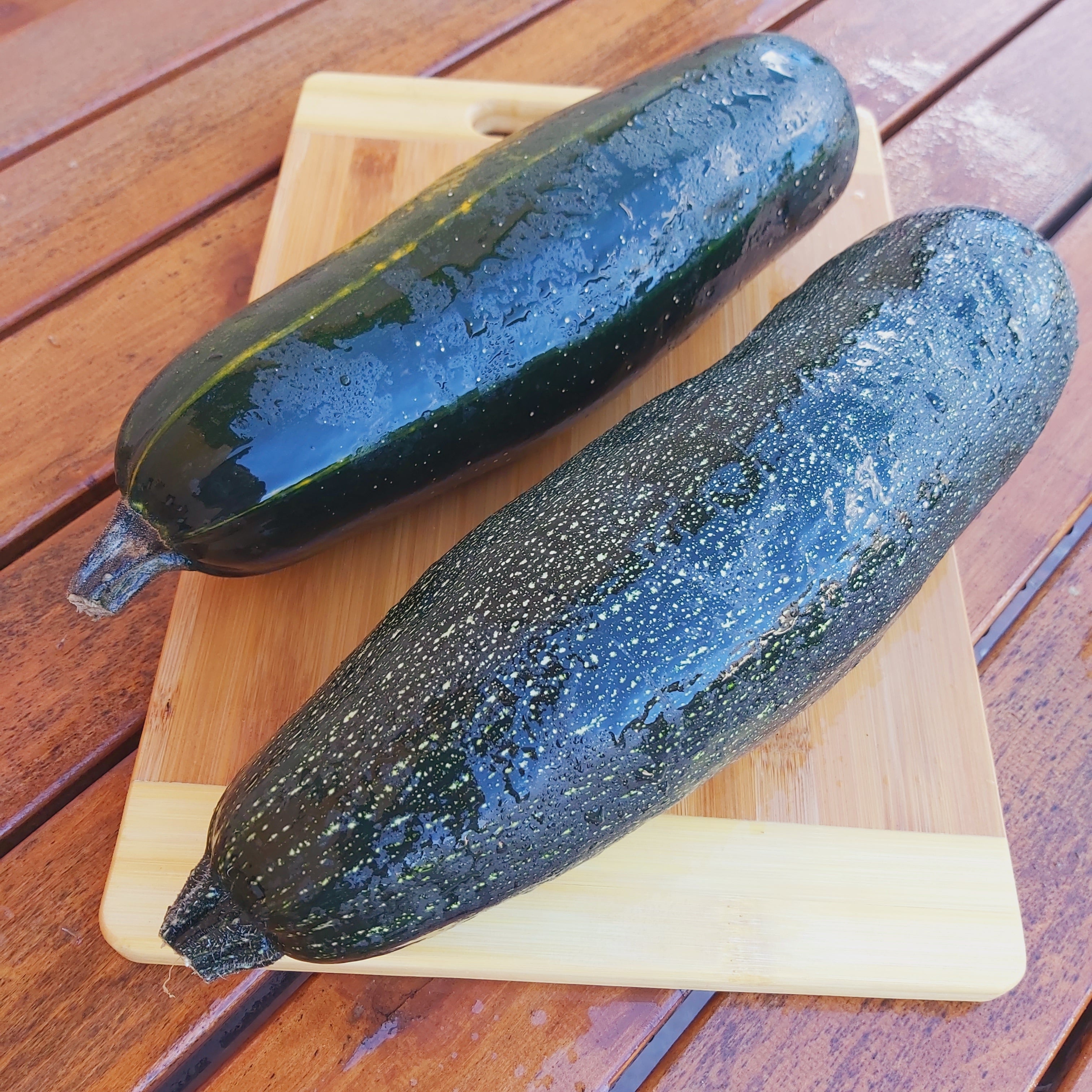 Cukinia EKO - 1 kg