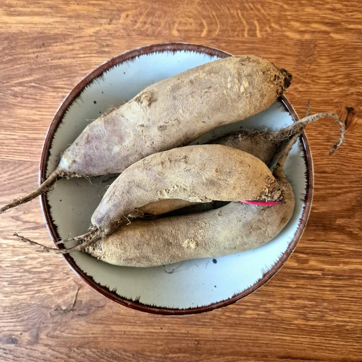 Buraki podłużne Eko - 1 kg