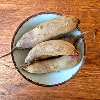 Buraki podłużne Eko - 1 kg