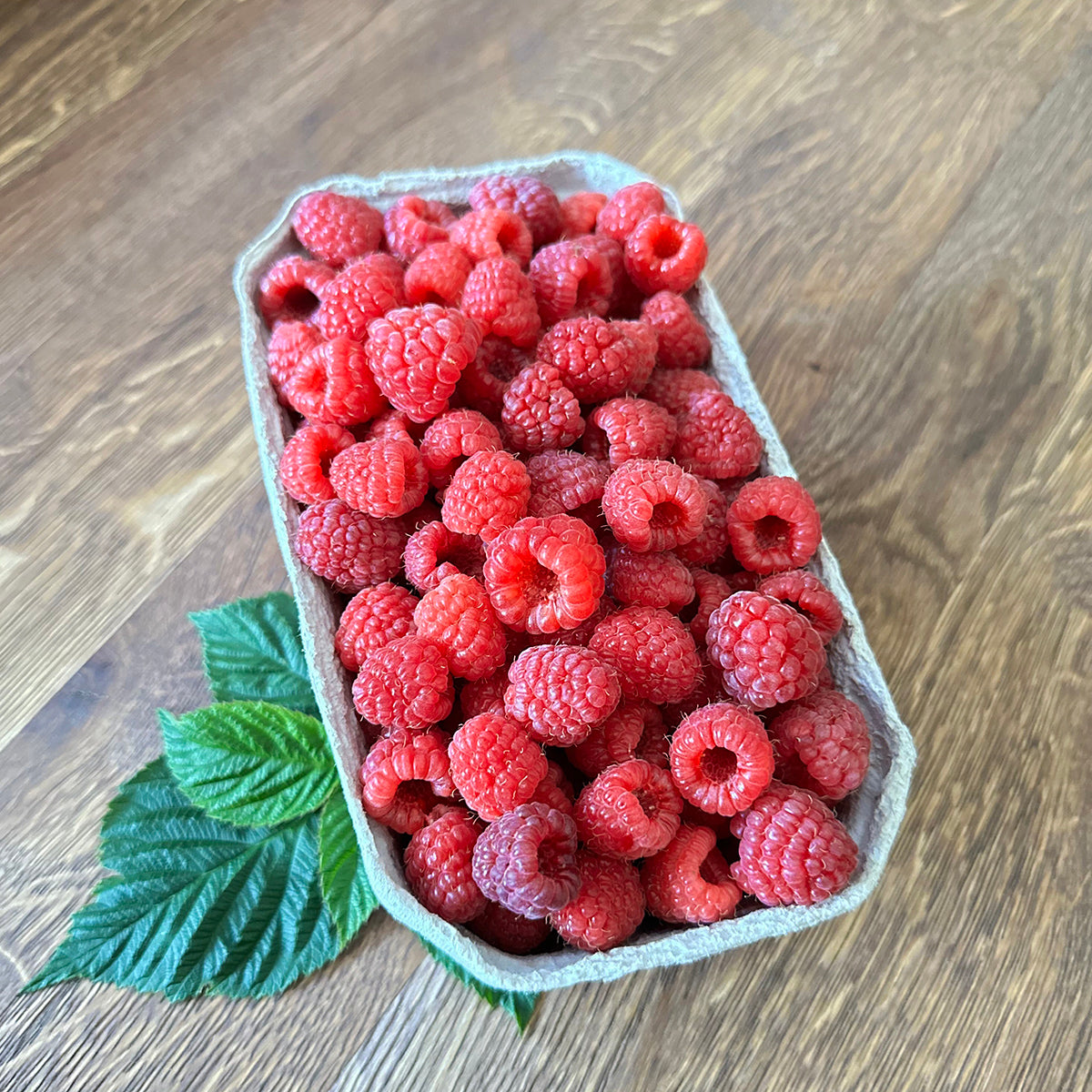 Maliny EKO 500 g - Dostawa własna gospodarstwa
