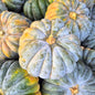 Dynia Muscat EKO - 1 kg