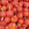 Ekologiczna dynia Hokkaido z jadalną skórką