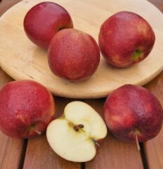 Jabłka Jonagored - 1 kg