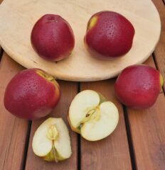 Jabłka Ligol - 1 kg