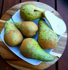 Soczysta słodka gruszka konferencja