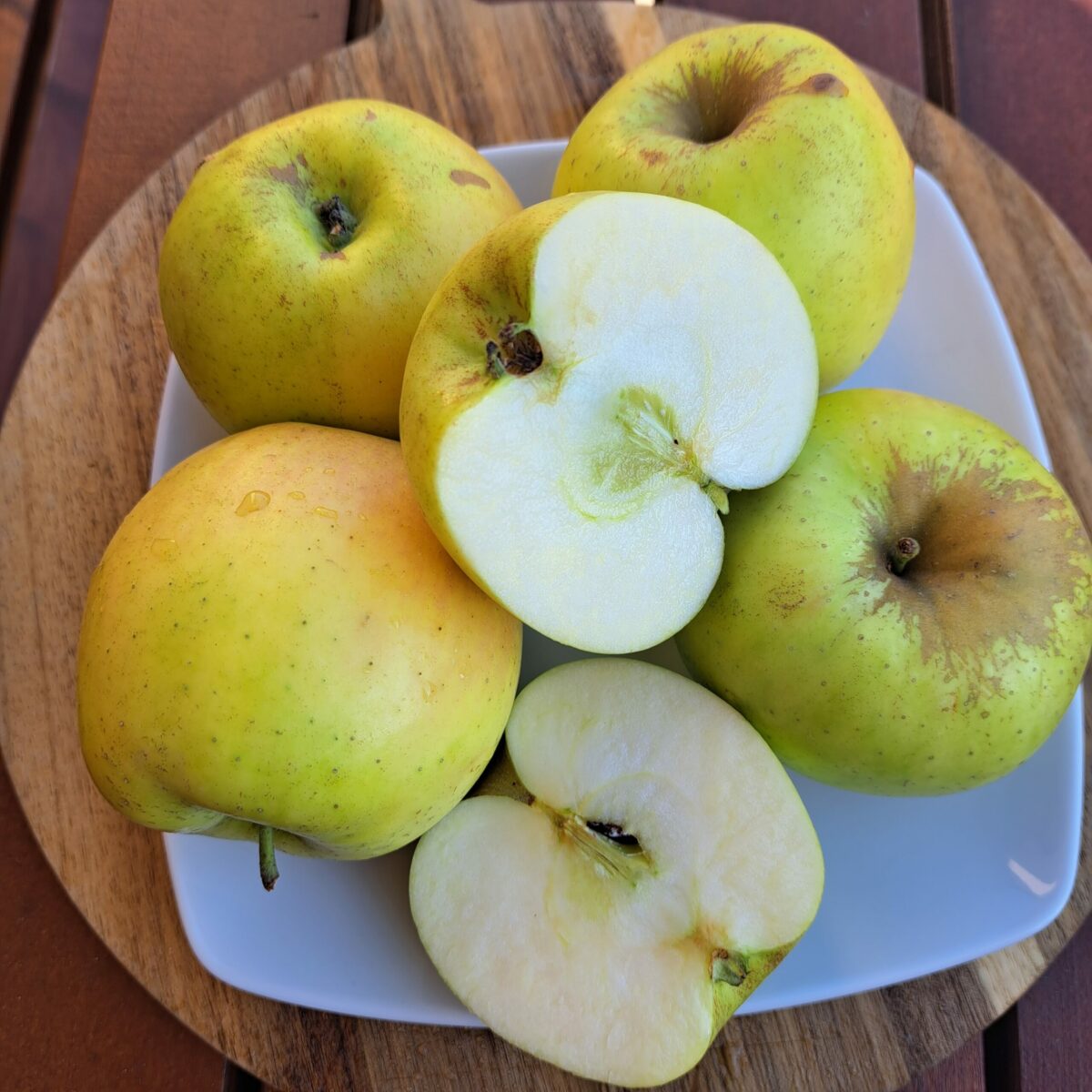Jabłka Gold Kosztela – 1 kg – Produkty z Farmy