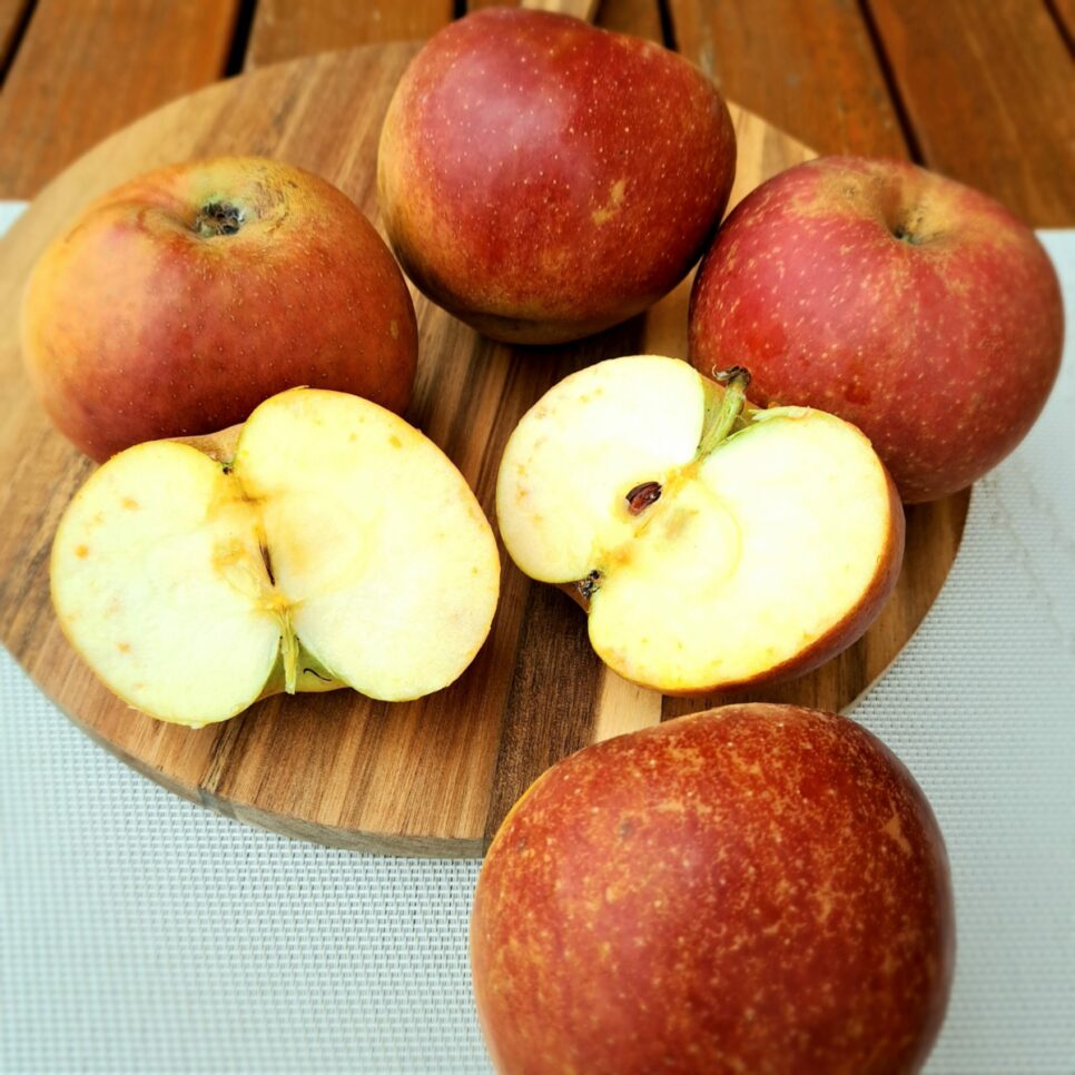 Jabłka Boscoop idealne na przetwory