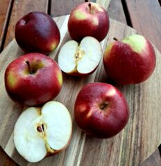Jabłka ekologiczne soczyste słodkie odmiany Empire