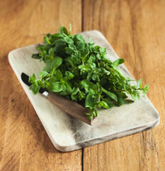 Świeże oregano cięte BIO