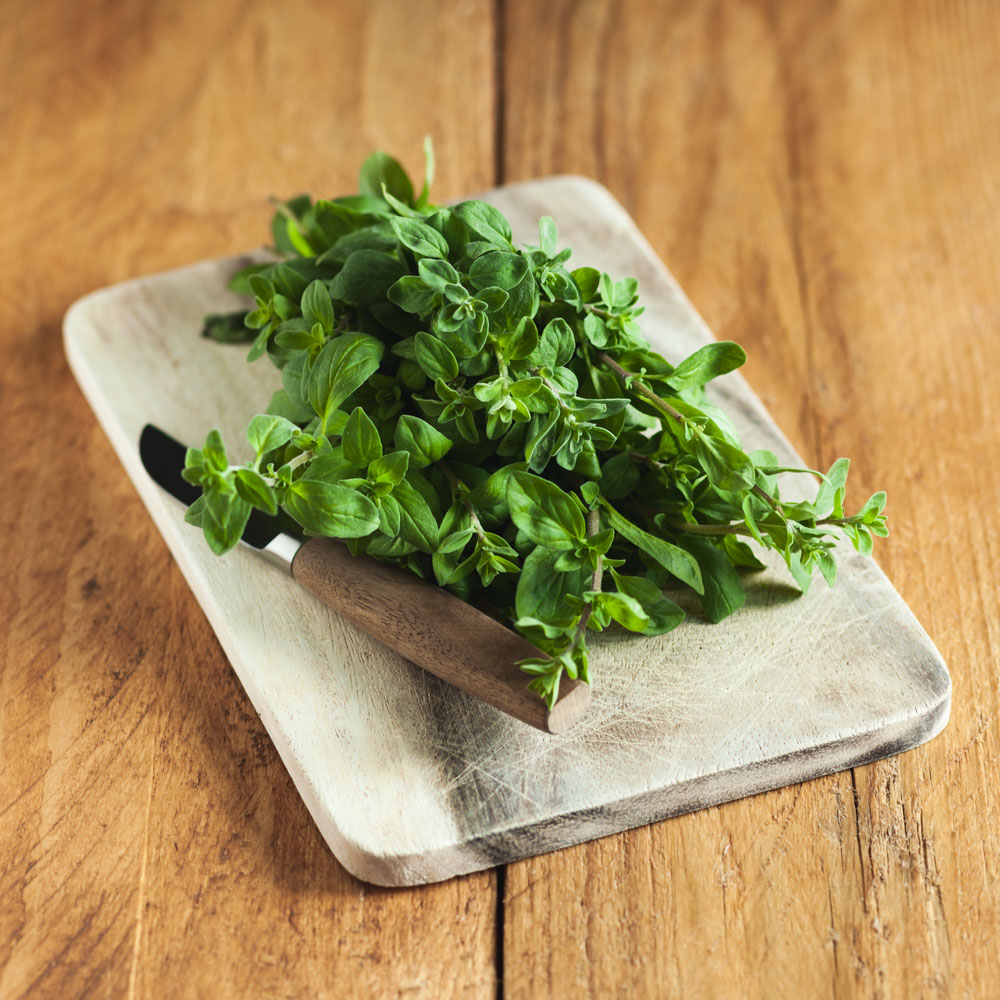 Świeże oregano cięte BIO