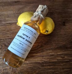 Syrop z pędów sosny