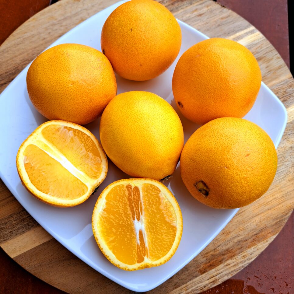 Ekologiczne pomarańcze sokowe