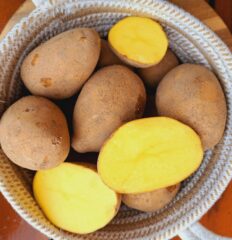 Ziemniaki żółte odmiana denar