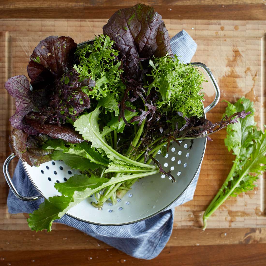 Sałaty ekologiczne EiK Jabłońscy